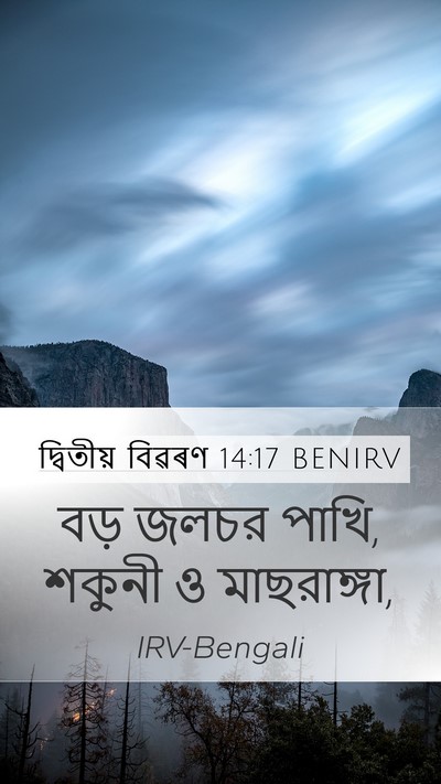 দ্বিতীয় বিৱৰণ 14:17 BENIRV Mobile Phone Wallpaper - বড় জলচর পাখি, - Mobile Bible Verse Wallpaper