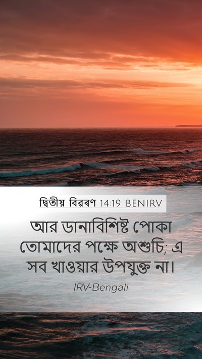 দ্বিতীয় বিৱৰণ 14:19 BENIRV Bible Verse Image