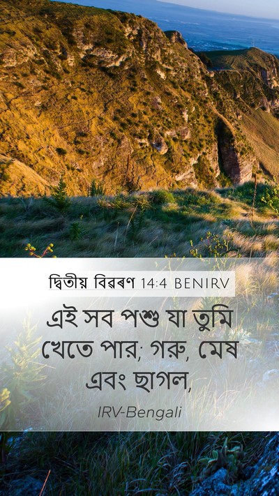 দ্বিতীয় বিৱৰণ 14:4 BENIRV Mobile Phone Wallpaper - এই সব পশু যা তুমি - Mobile Bible Verse Wallpaper