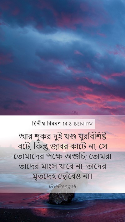 দ্বিতীয় বিৱৰণ 14:8 BENIRV Bible Verse Image
