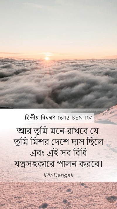 দ্বিতীয় বিৱৰণ 16:12 BENIRV Bible Verse Image