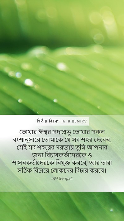 দ্বিতীয় বিৱৰণ 16:18 BENIRV Bible Verse Image