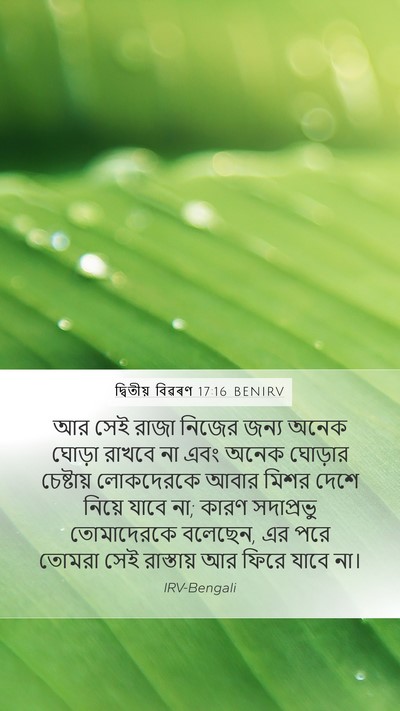 দ্বিতীয় বিৱৰণ 17:16 BENIRV Bible Verse Image