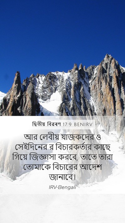 দ্বিতীয় বিৱৰণ 17:9 BENIRV Bible Verse Image