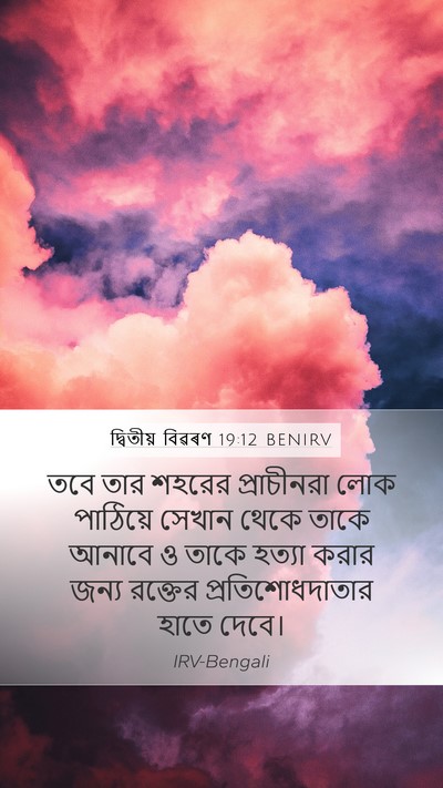 দ্বিতীয় বিৱৰণ 19:12 BENIRV Bible Verse Image