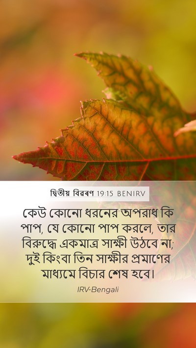দ্বিতীয় বিৱৰণ 19:15 BENIRV Bible Verse Image
