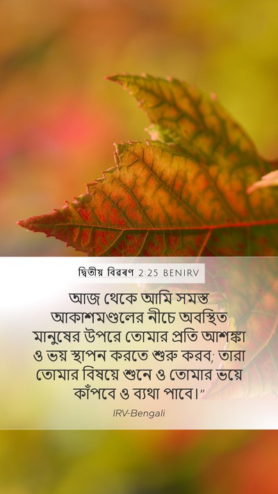 দ্বিতীয় বিৱৰণ 2:25 BENIRV Bible Verse Image