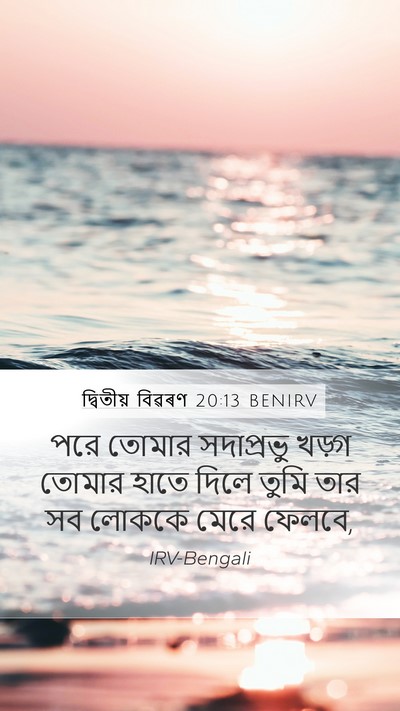 দ্বিতীয় বিৱৰণ 20:13 BENIRV Bible Verse Image