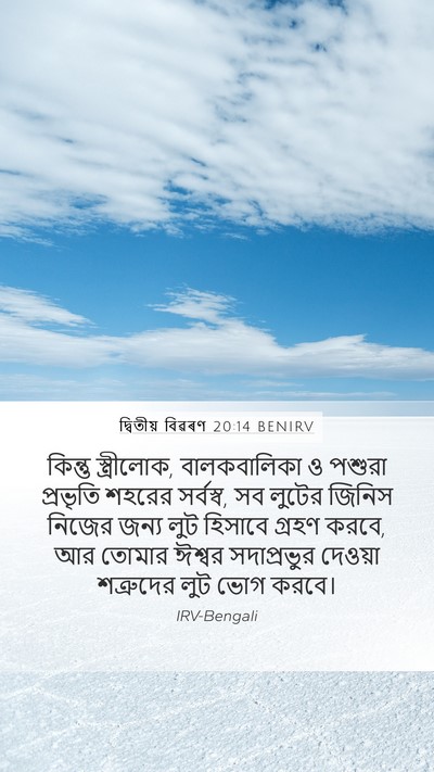 দ্বিতীয় বিৱৰণ 20:14 BENIRV Bible Verse Image