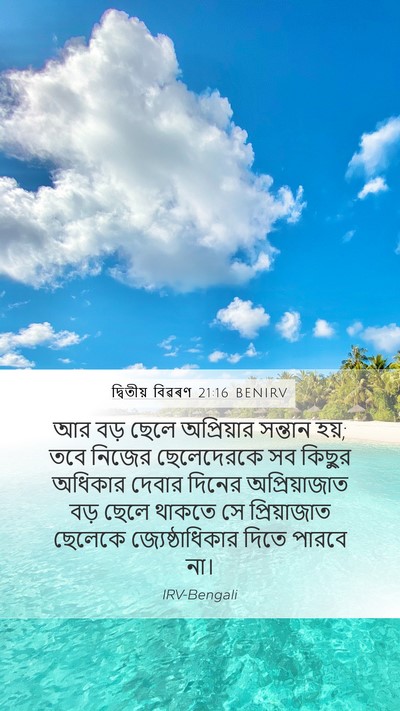 দ্বিতীয় বিৱৰণ 21:16 BENIRV Bible Verse Image