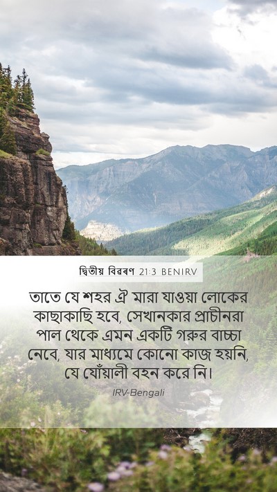 দ্বিতীয় বিৱৰণ 21:3 BENIRV Bible Verse Image
