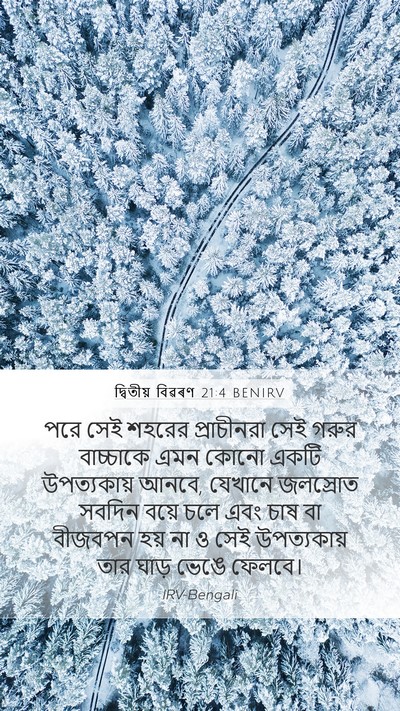 দ্বিতীয় বিৱৰণ 21:4 BENIRV Bible Verse Image