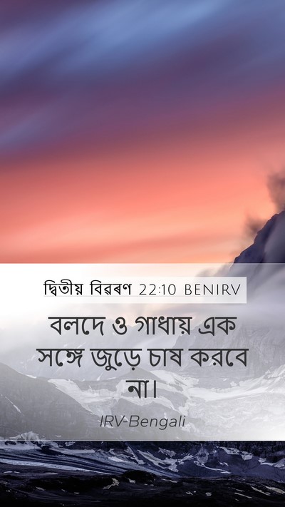 দ্বিতীয় বিৱৰণ 22:10 BENIRV Mobile Phone Wallpaper - বলদে ও গাধায় এক - Mobile Bible Verse Wallpaper