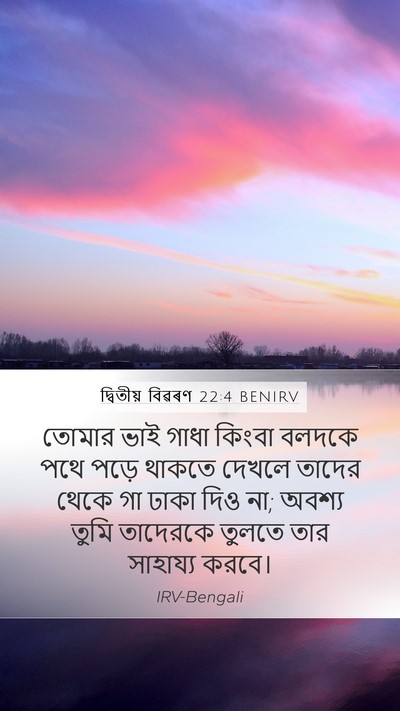 দ্বিতীয় বিৱৰণ 22:4 BENIRV Bible Verse Image