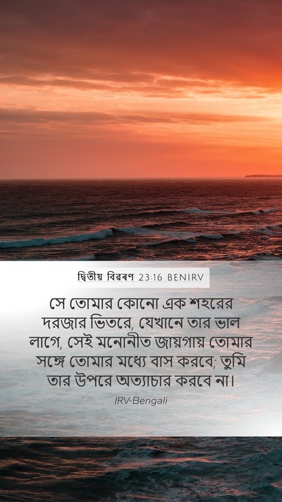 দ্বিতীয় বিৱৰণ 23:16 BENIRV Mobile Phone Wallpaper - সে তোমার কোনো এক - Mobile Bible Verse Wallpaper