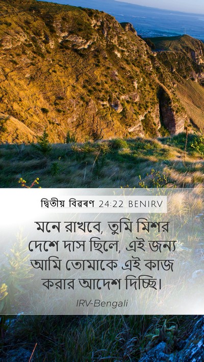 দ্বিতীয় বিৱৰণ 24:22 BENIRV Bible Verse Image