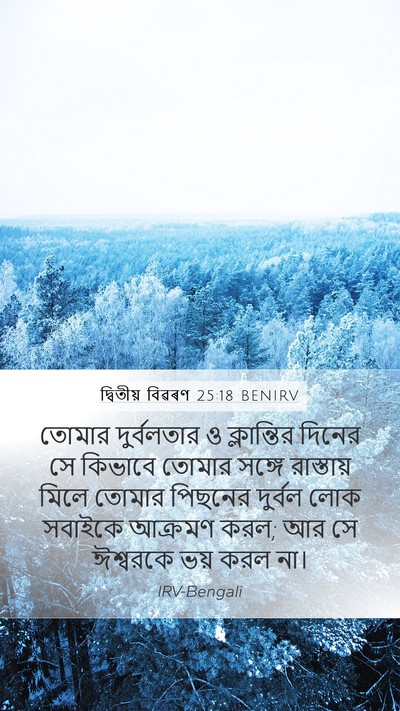 দ্বিতীয় বিৱৰণ 25:18 BENIRV Bible Verse Image