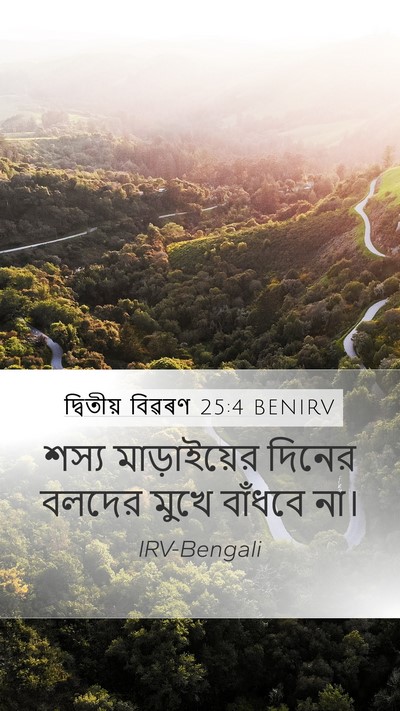 দ্বিতীয় বিৱৰণ 25:4 BENIRV Bible Verse Image
