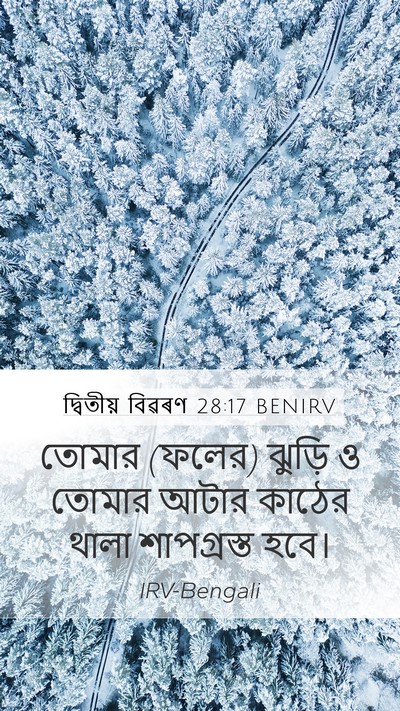 দ্বিতীয় বিৱৰণ 28:17 BENIRV Mobile Phone Wallpaper - তোমার (ফলের) ঝুড়ি - Mobile Bible Verse Wallpaper