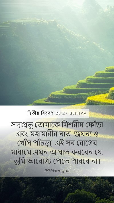 দ্বিতীয় বিৱৰণ 28:27 BENIRV Bible Verse Image