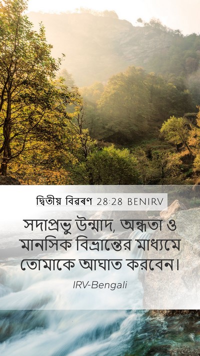 দ্বিতীয় বিৱৰণ 28:28 BENIRV Bible Verse Image