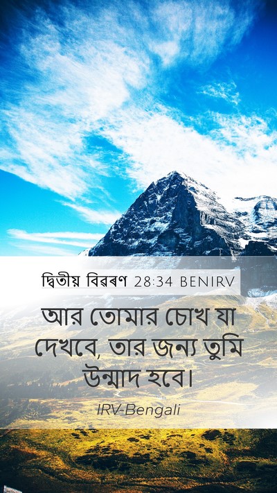 দ্বিতীয় বিৱৰণ 28:34 BENIRV Bible Verse Image