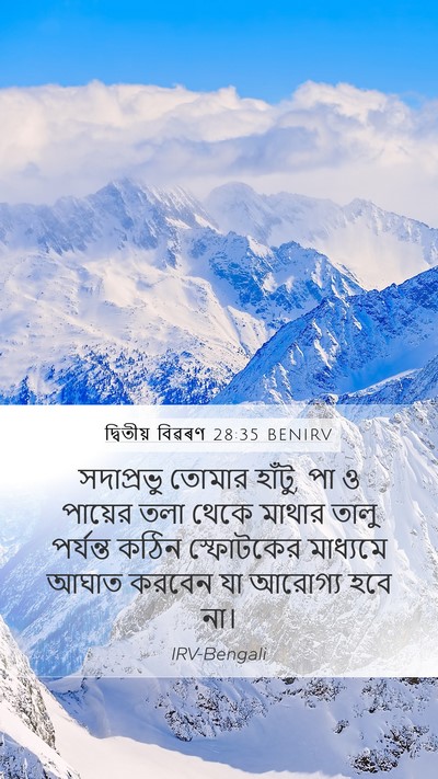 দ্বিতীয় বিৱৰণ 28:35 BENIRV Bible Verse Image