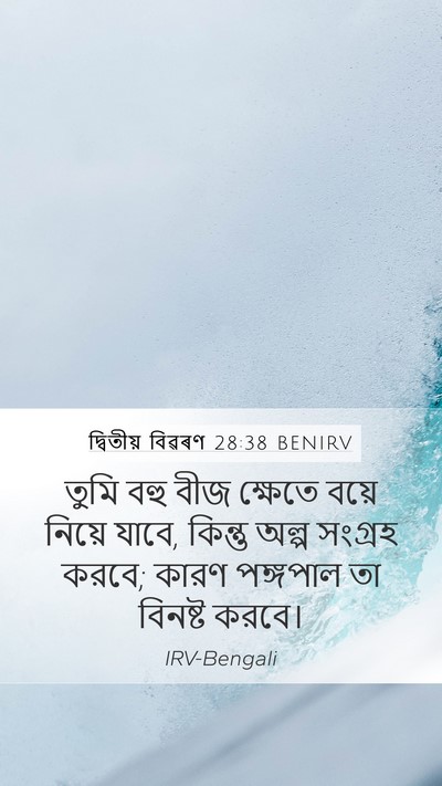 দ্বিতীয় বিৱৰণ 28:38 BENIRV Bible Verse Image
