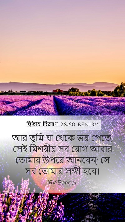 দ্বিতীয় বিৱৰণ 28:60 BENIRV Bible Verse Image