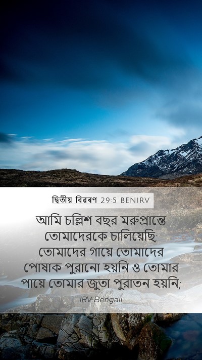 দ্বিতীয় বিৱৰণ 29:5 BENIRV Bible Verse Image