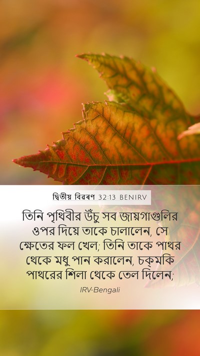 দ্বিতীয় বিৱৰণ 32:13 BENIRV Bible Verse Image