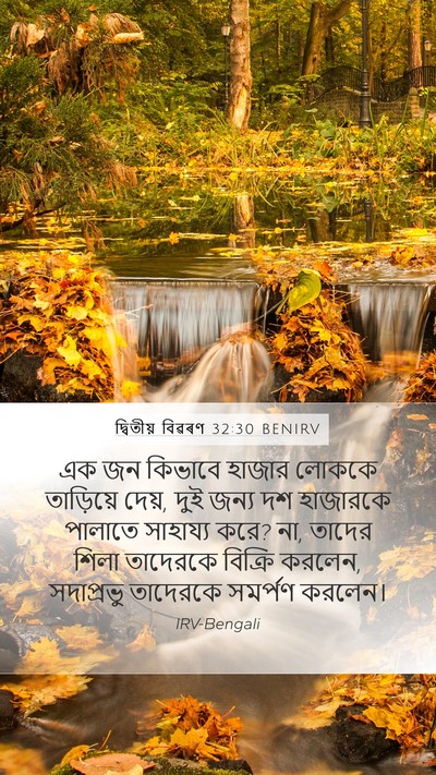 দ্বিতীয় বিৱৰণ 32:30 BENIRV Bible Verse Image