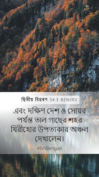 দ্বিতীয় বিৱৰণ 34:3 BENIRV Bible Verse Image