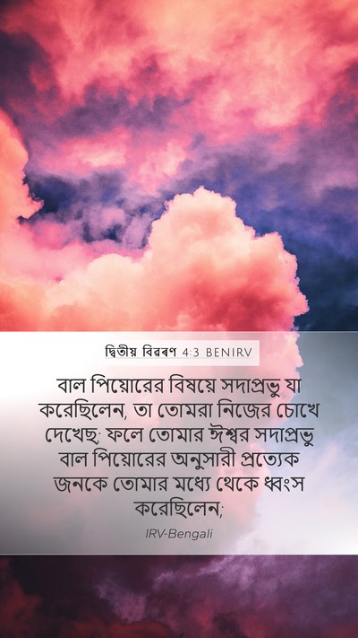 দ্বিতীয় বিৱৰণ 4:3 BENIRV Bible Verse Image