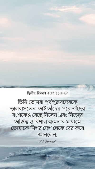 দ্বিতীয় বিৱৰণ 4:37 BENIRV Bible Verse Image