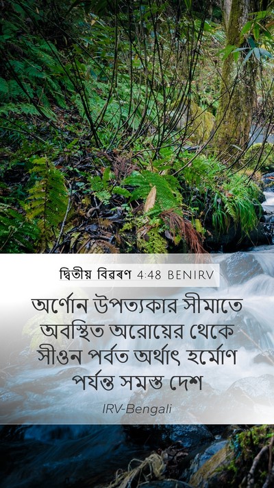 দ্বিতীয় বিৱৰণ 4:48 BENIRV Bible Verse Image