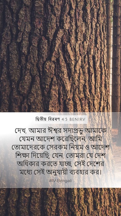দ্বিতীয় বিৱৰণ 4:5 BENIRV Bible Verse Image