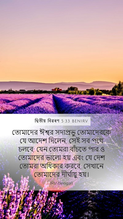 দ্বিতীয় বিৱৰণ 5:33 BENIRV Bible Verse Image