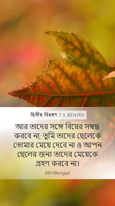 দ্বিতীয় বিৱৰণ 7:3 BENIRV Bible Verse Image