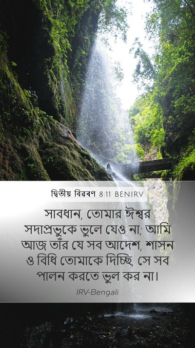 দ্বিতীয় বিৱৰণ 8:11 BENIRV Bible Verse Image