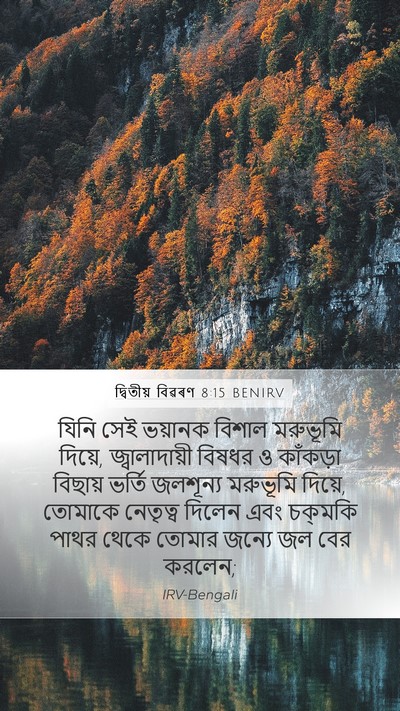 দ্বিতীয় বিৱৰণ 8:15 BENIRV Bible Verse Image