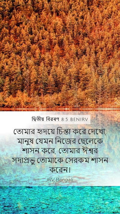 দ্বিতীয় বিৱৰণ 8:5 BENIRV Bible Verse Image