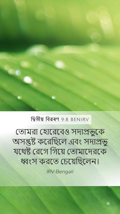 দ্বিতীয় বিৱৰণ 9:8 BENIRV Bible Verse Image