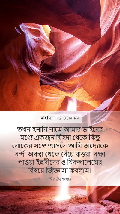 নহিমিয়া 1:2 BENIRV Bible Verse Image