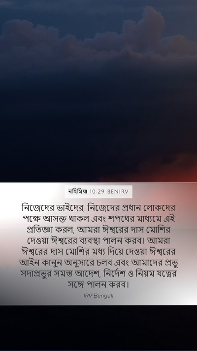 নহিমিয়া 10:29 BENIRV Bible Verse Image