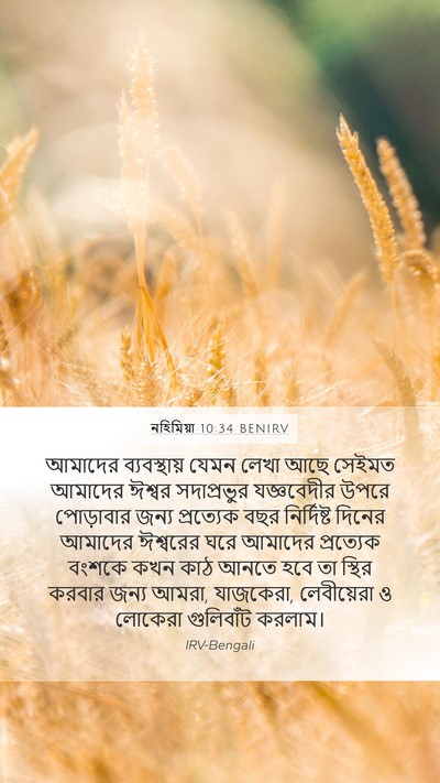 নহিমিয়া 10:34 BENIRV Bible Verse Image