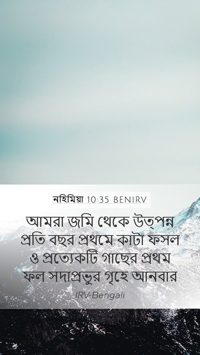 নহিমিয়া 10:35 BENIRV Bible Verse Image