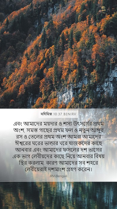 নহিমিয়া 10:37 BENIRV Bible Verse Image