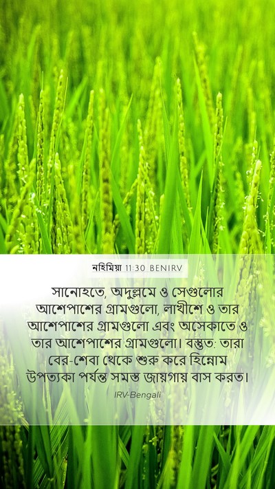 নহিমিয়া 11:30 BENIRV Mobile Phone Wallpaper - সানোহতে, অদুল্লমে - Mobile Bible Verse Wallpaper