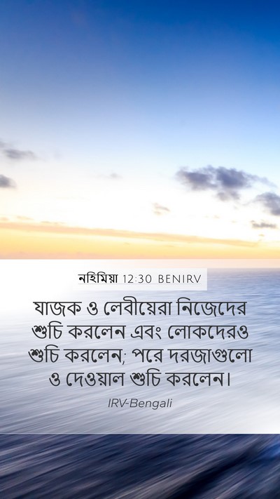 নহিমিয়া 12:30 BENIRV Bible Verse Image